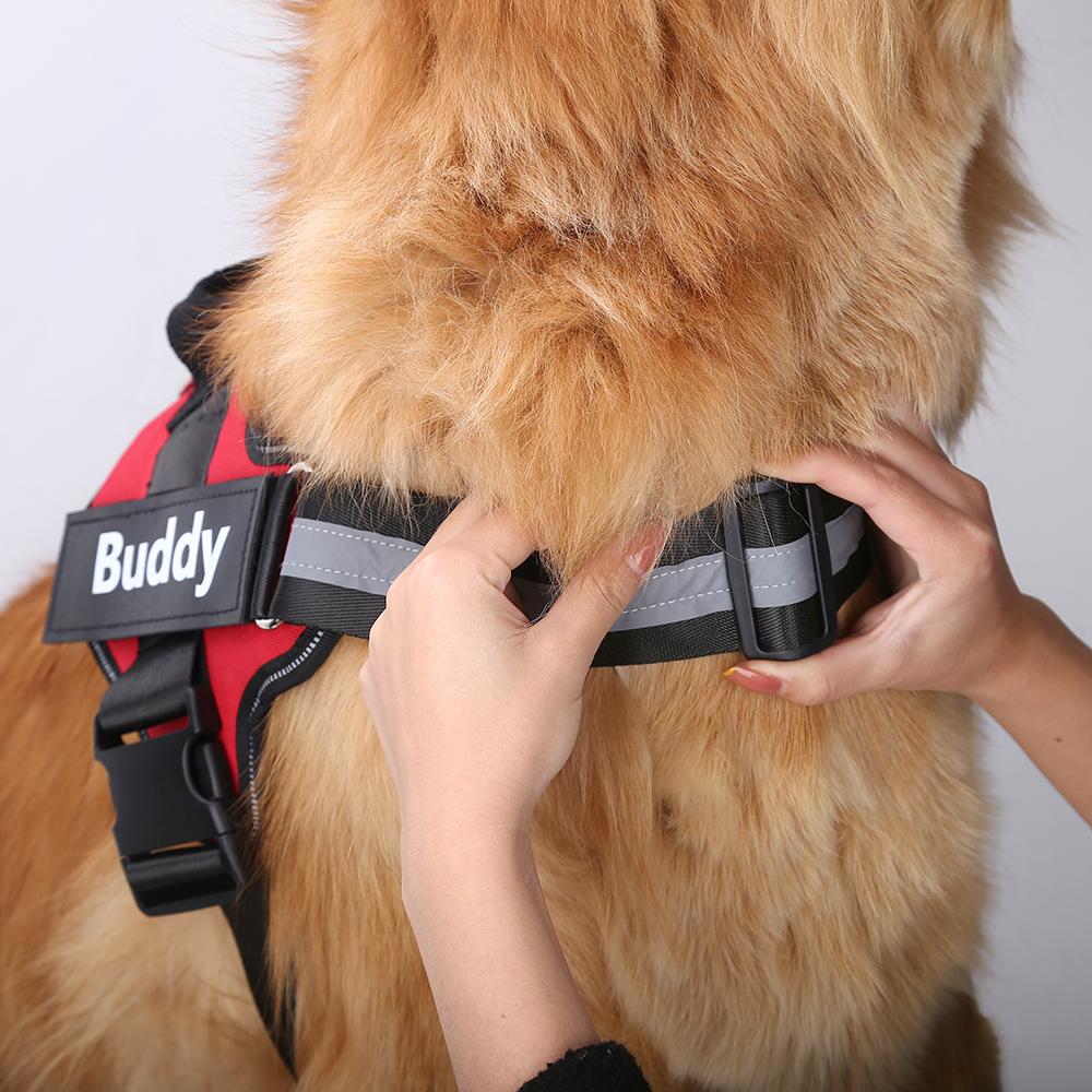 ZENVITA™ - CUSTOM FIT NO-PULL DOG HARNESS