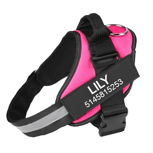ZENVITA™ - CUSTOM FIT NO-PULL DOG HARNESS