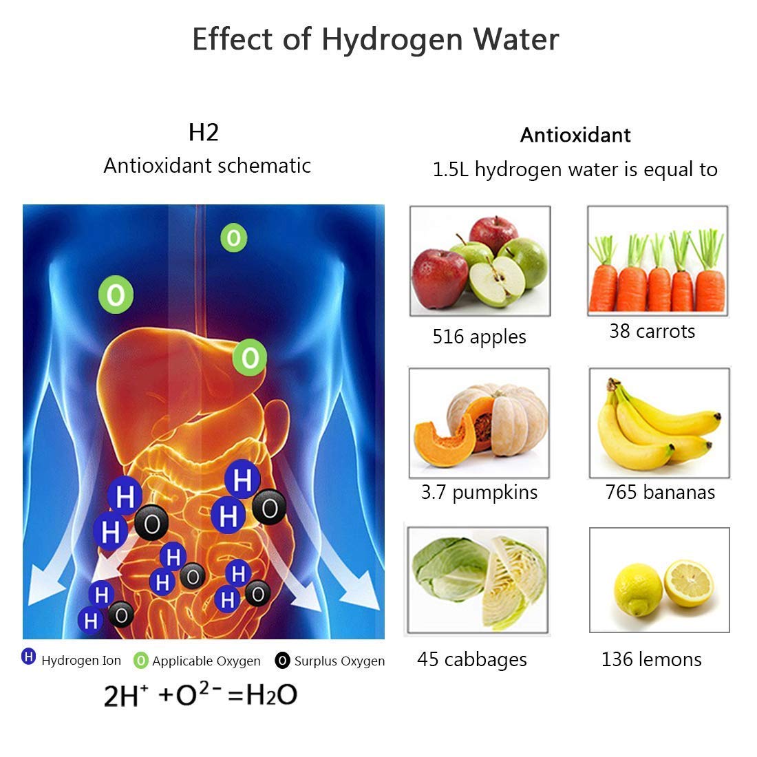 ZENVITA™ - HYDROGEN WATER BOTTLE