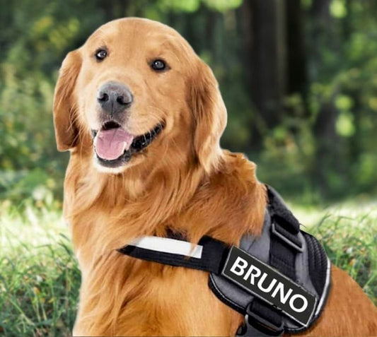 ZENVITA™   - CUSTOM FIT NO-PULL DOG HARNESS