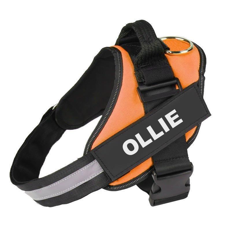 ZENVITA™   - CUSTOM FIT NO-PULL DOG HARNESS