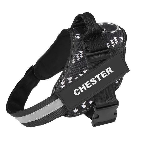 ZENVITA™   - CUSTOM FIT NO-PULL DOG HARNESS